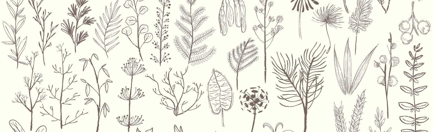 Levef Illustration of various types of plants
